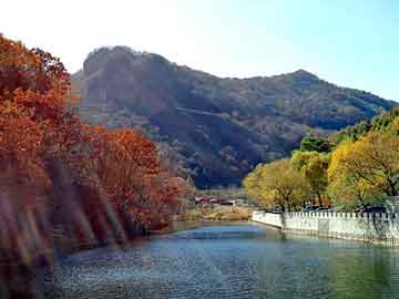 新澳天天开奖资料大全旅游团，斑宁祛斑霜